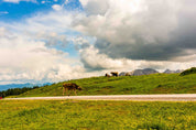 3D Sky Cloud Mountains Grassland Cow Wallpaper Wall Mural Wall Decor Wall Art Wall Sticker Remoable Wallpaper LQH