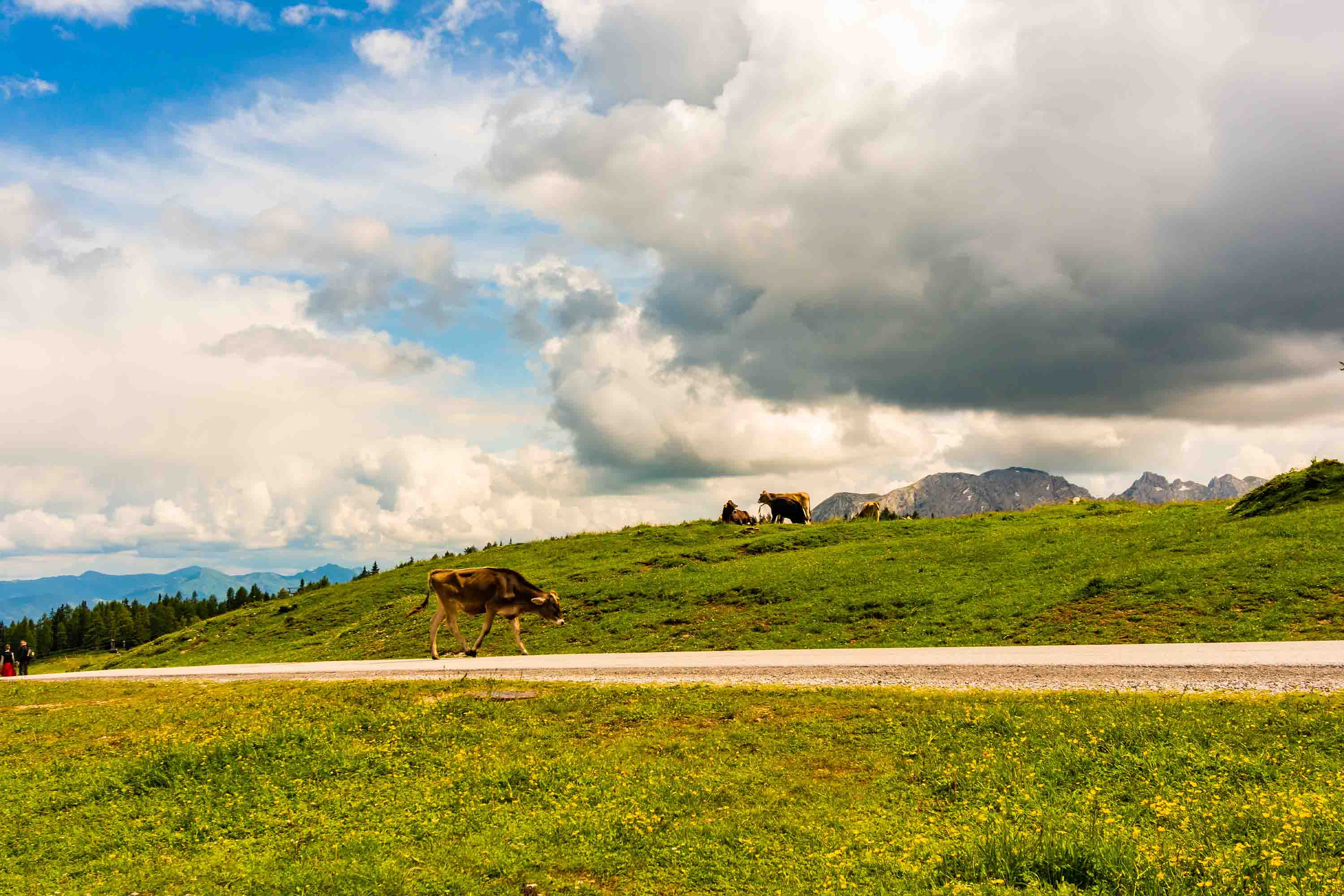 3D Sky Cloud Mountains Grassland Cow Wallpaper Wall Mural Wall Decor Wall Art Wall Sticker Remoable Wallpaper LQH