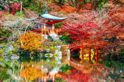 3D Building Lake Trees Autumn Landscape Wall Mural Wallpaper JN 374