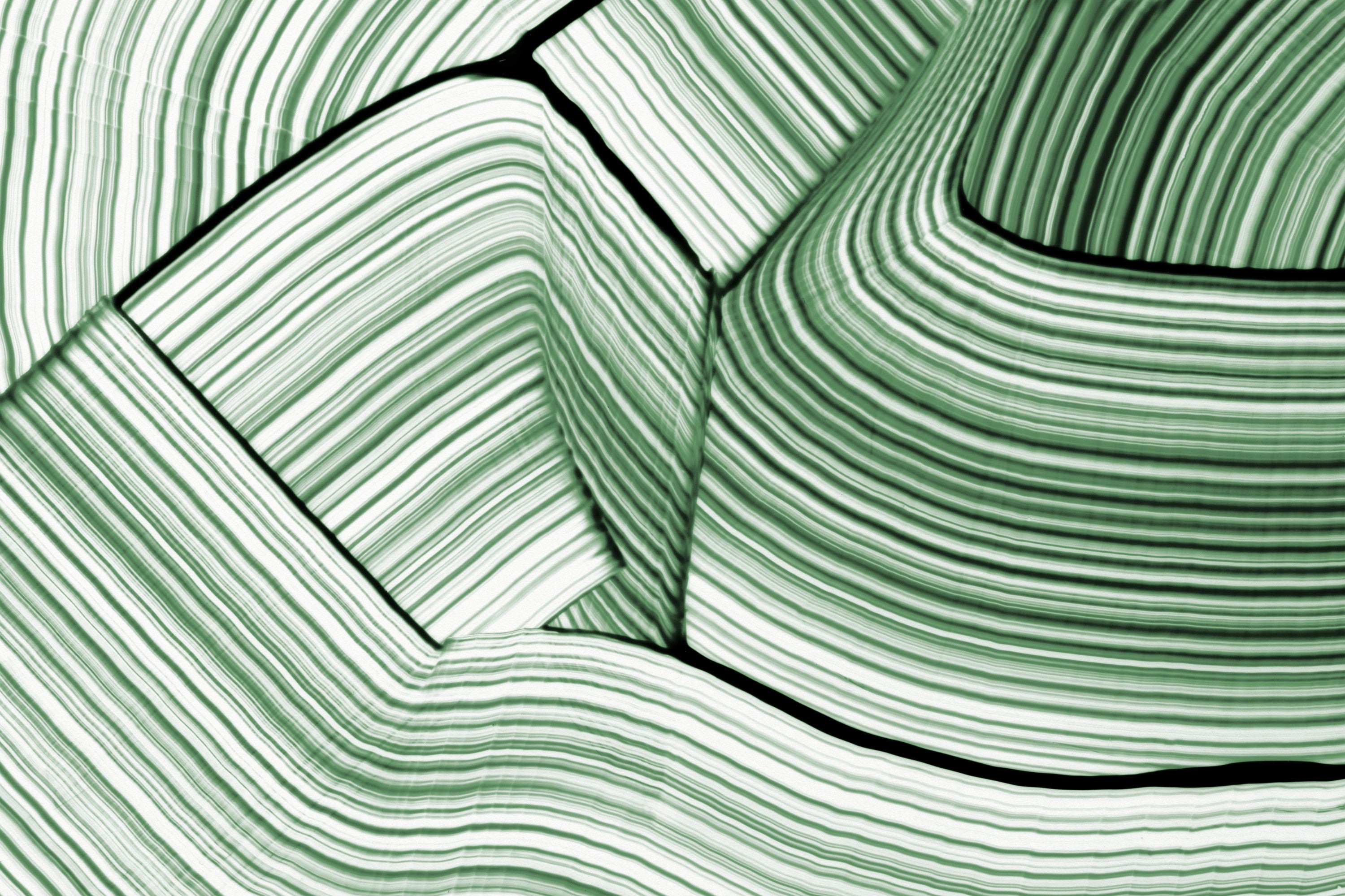 3D Office Business Technology Geometric Green Lines Modern Wall Mural Wallpaper 23