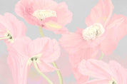 3D Floral Leaf Phalaenopsis Blue Wall Mural Wallpaper YXL 3126