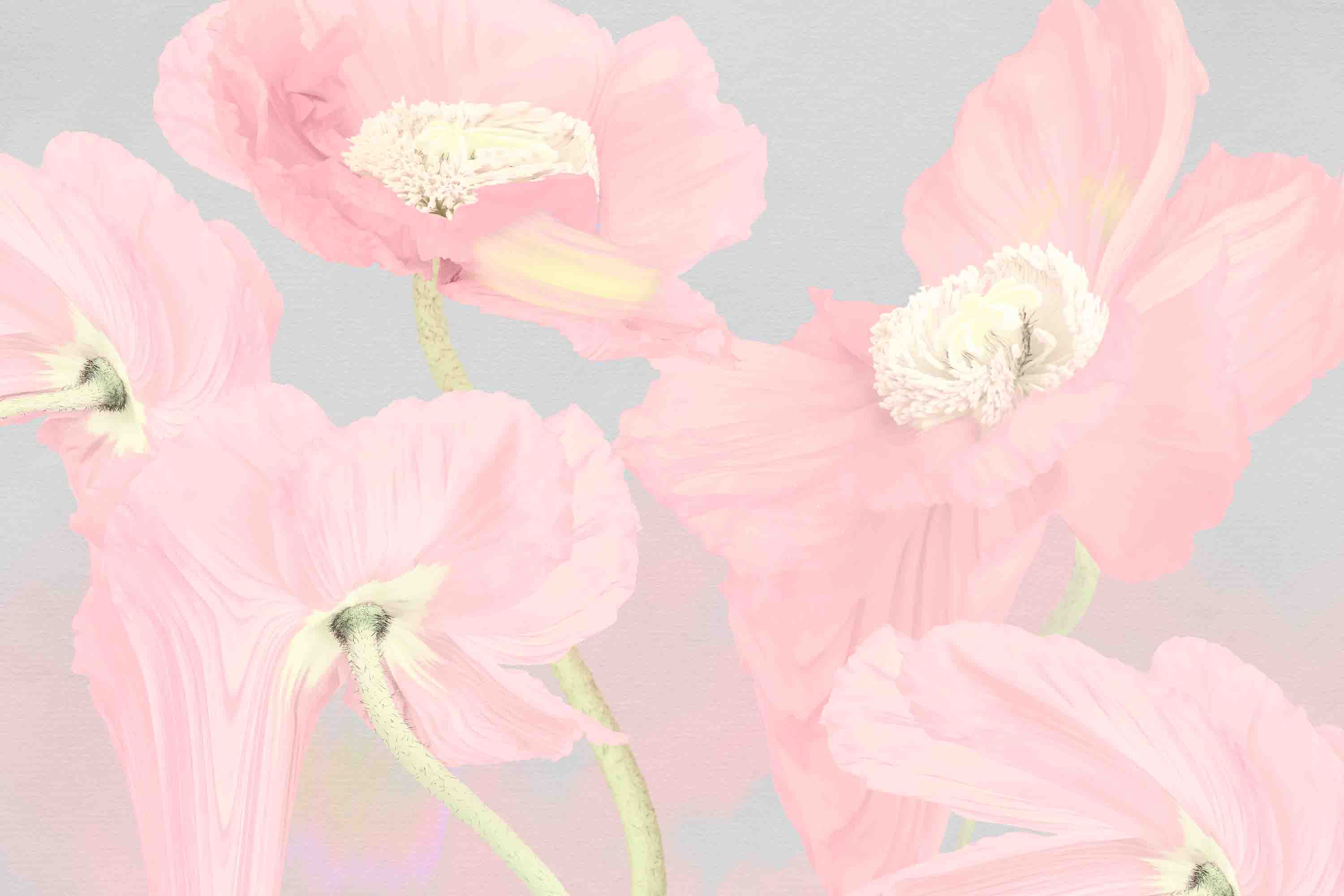 3D Floral Leaf Phalaenopsis Blue Wall Mural Wallpaper YXL 3126