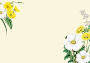 3D Watercolor Yellow White Floral Wallpaper Wall Mural Wall Decor Wall Art Wall Sticker Remoable Wallpaper LQH 36