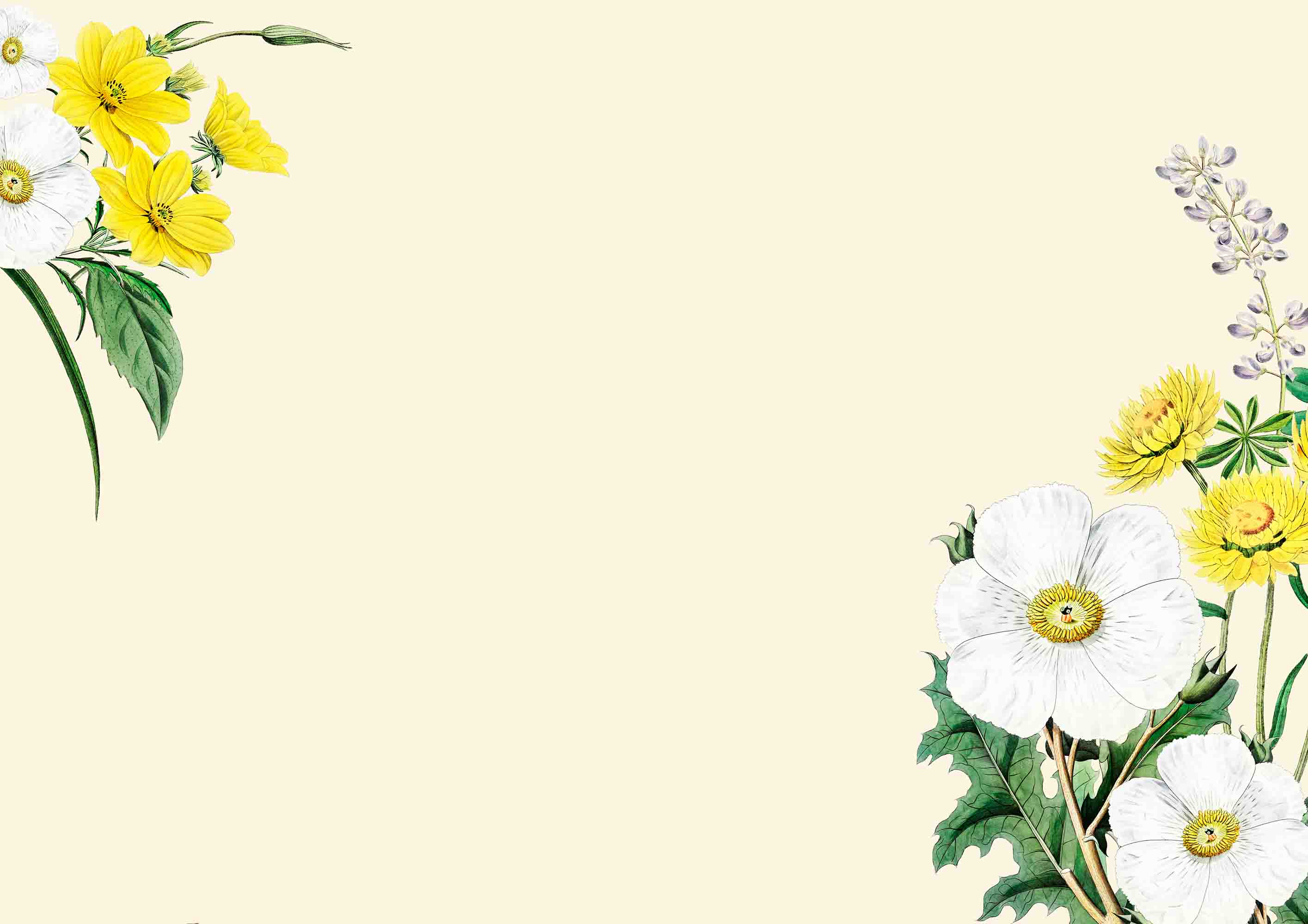 3D Watercolor Yellow White Floral Wallpaper Wall Mural Wall Decor Wall Art Wall Sticker Remoable Wallpaper LQH 36