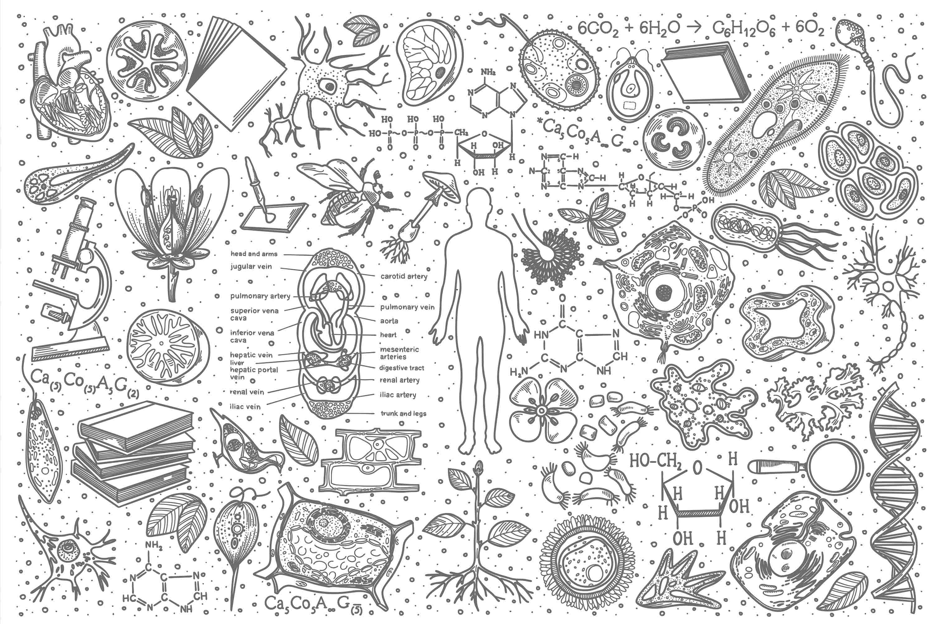 3D School STEM Science Lab Classroom Teaching Aid Wall Mural Wallpaper 46