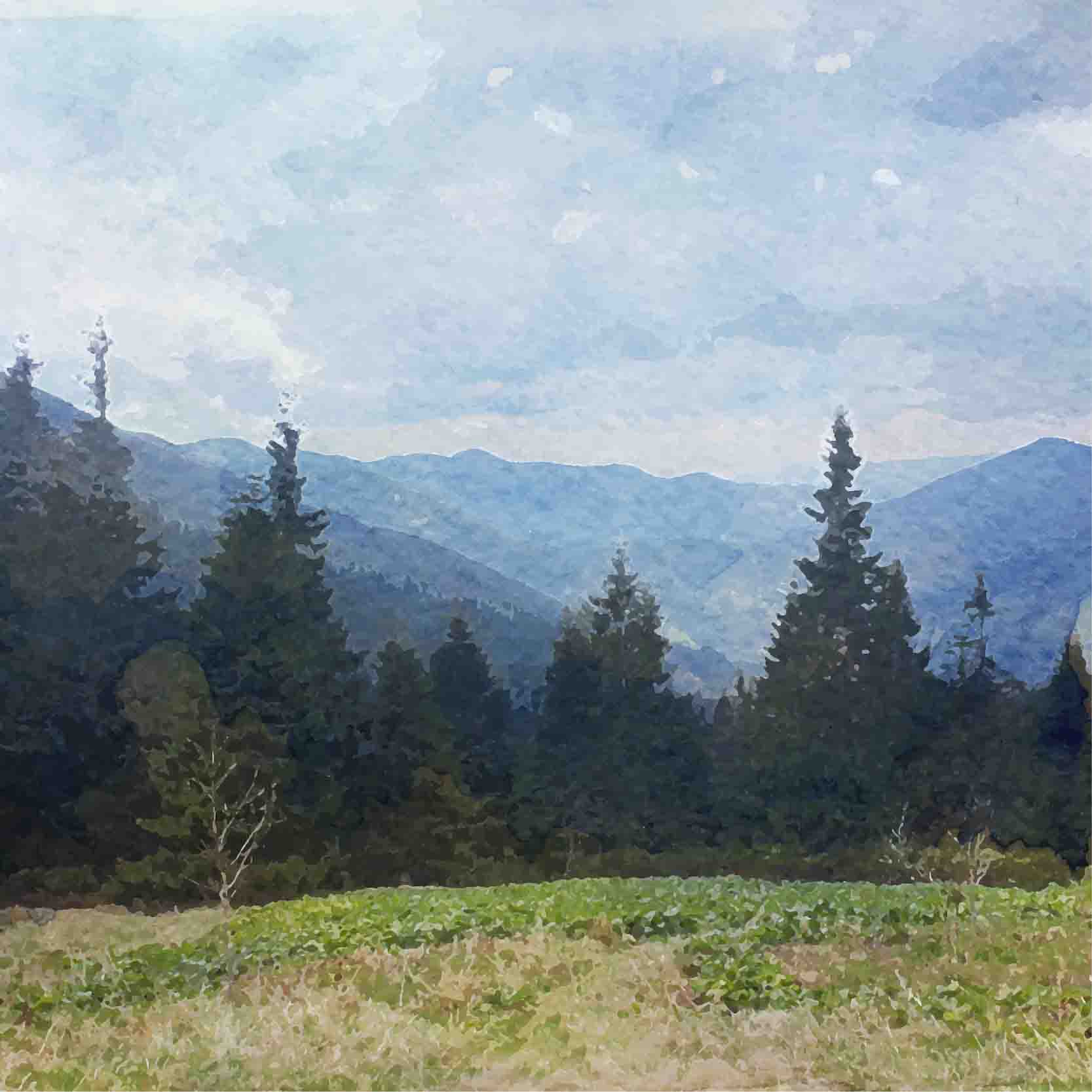 3D Sky Mountains Forest Nature Landscape Wallpaper Wall Mural Wall Decor Wall Art Wall Sticker Remoable Wallpaper LQH