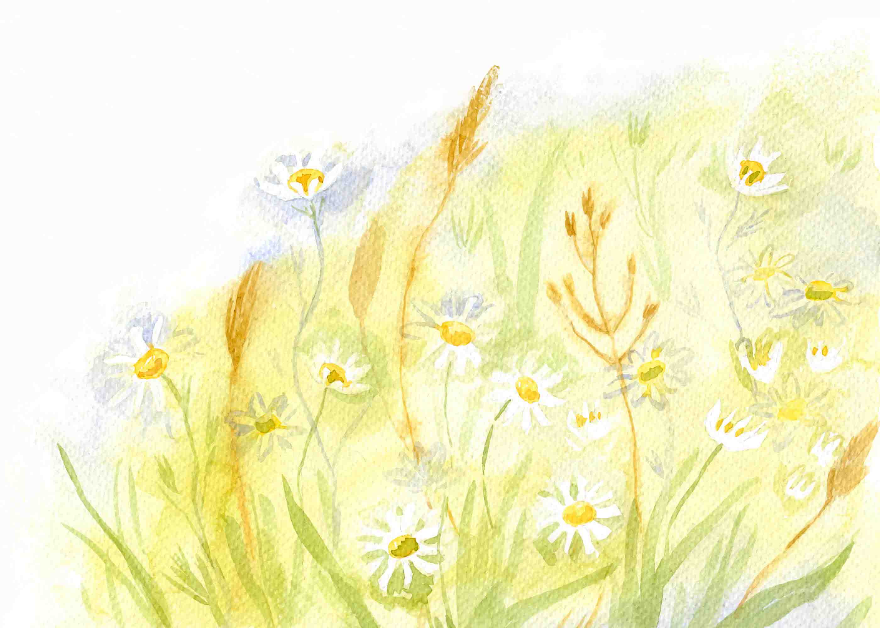 3D Childcare Nursery School Cartoon Floral Kids Wall Mural Wallpaper JN