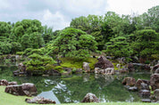 3D Tree Grassland Mountain Sea Stone Wall Mural Wallpaper YXL 3057