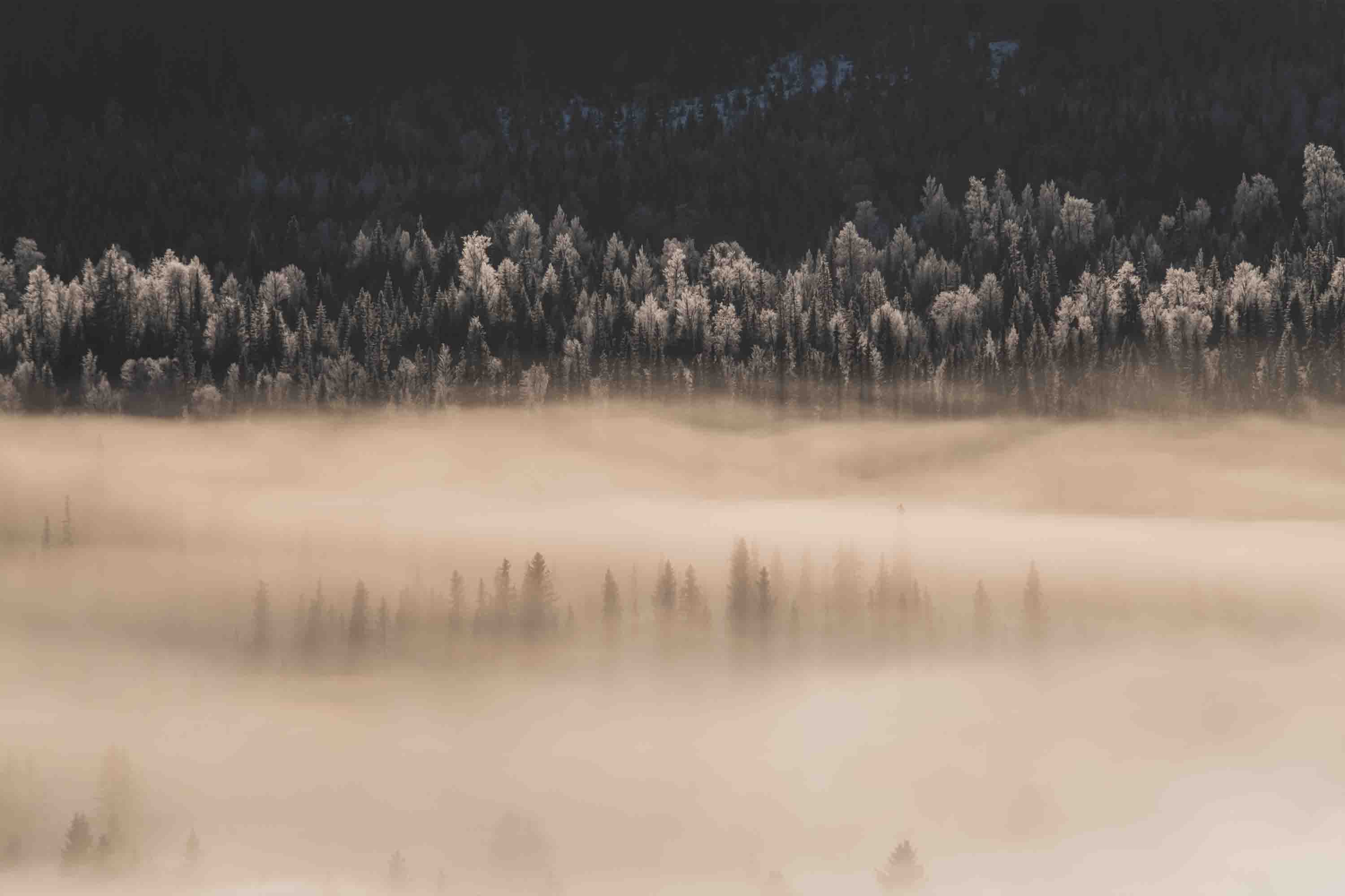 3D Brown Sky Forest Landscape Wallpaper Wall Mural Wall Decor Wall Art Wall Sticker Remoable Wallpaper 25
