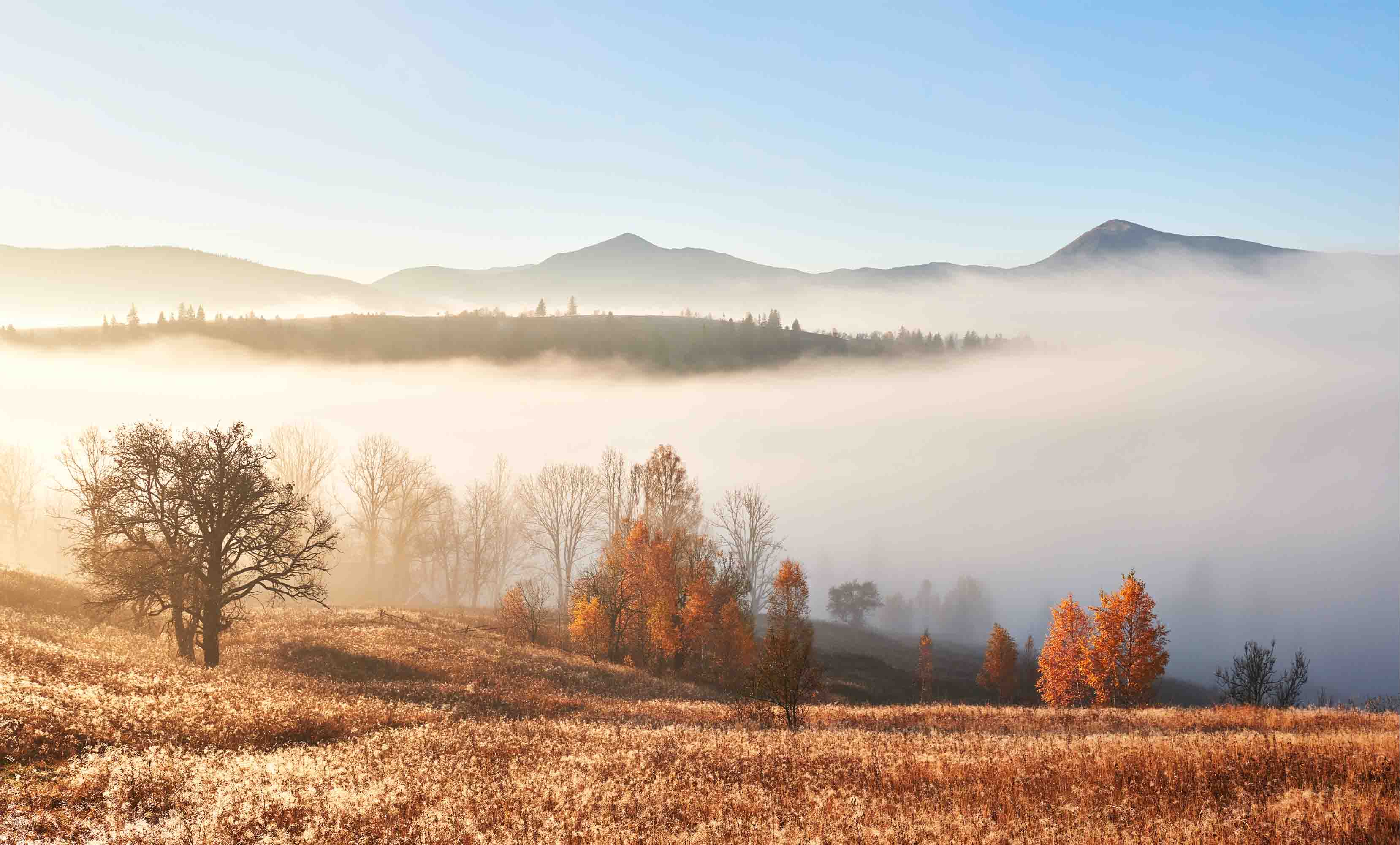 3D Mountains Fog Autumn Landscape Wall Mural Wallpaper JN 370