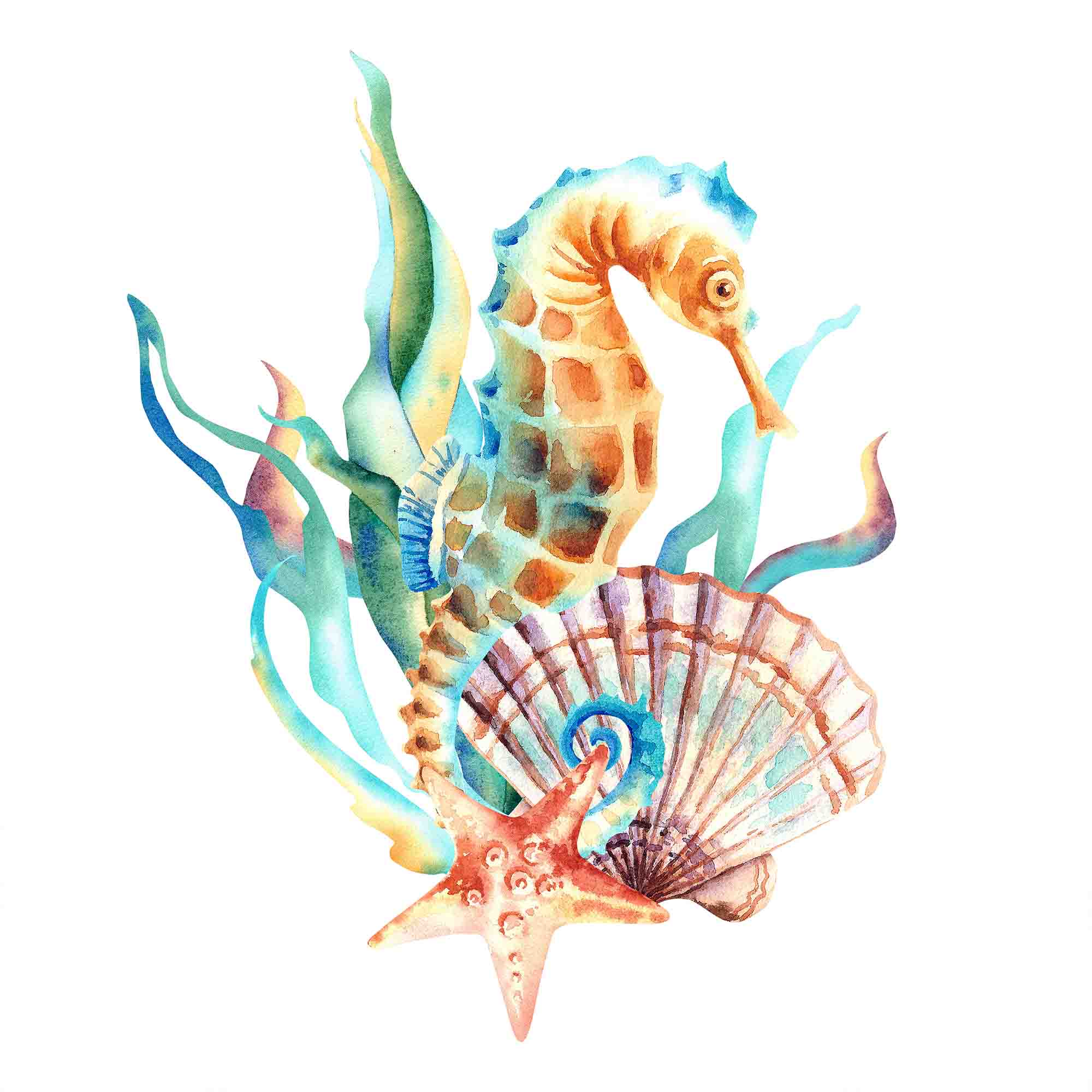 3D Animal Conch Sea Horse Starfish Coral Wall Mural Wallpaper YXL 22