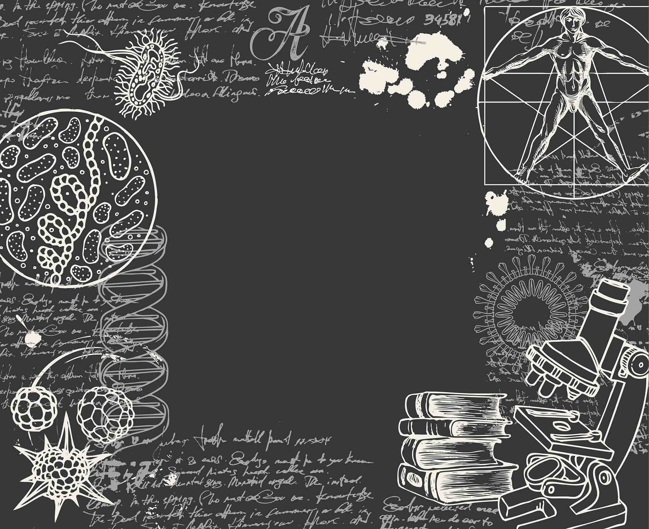 3D School STEM Science Lab Classroom Teaching Aid Biology Wall Mural Wallpaper 24