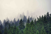 3D Scenery Forest Tree Fog Wall Mural Wallpaper YXL 23- Jess Art Decoration