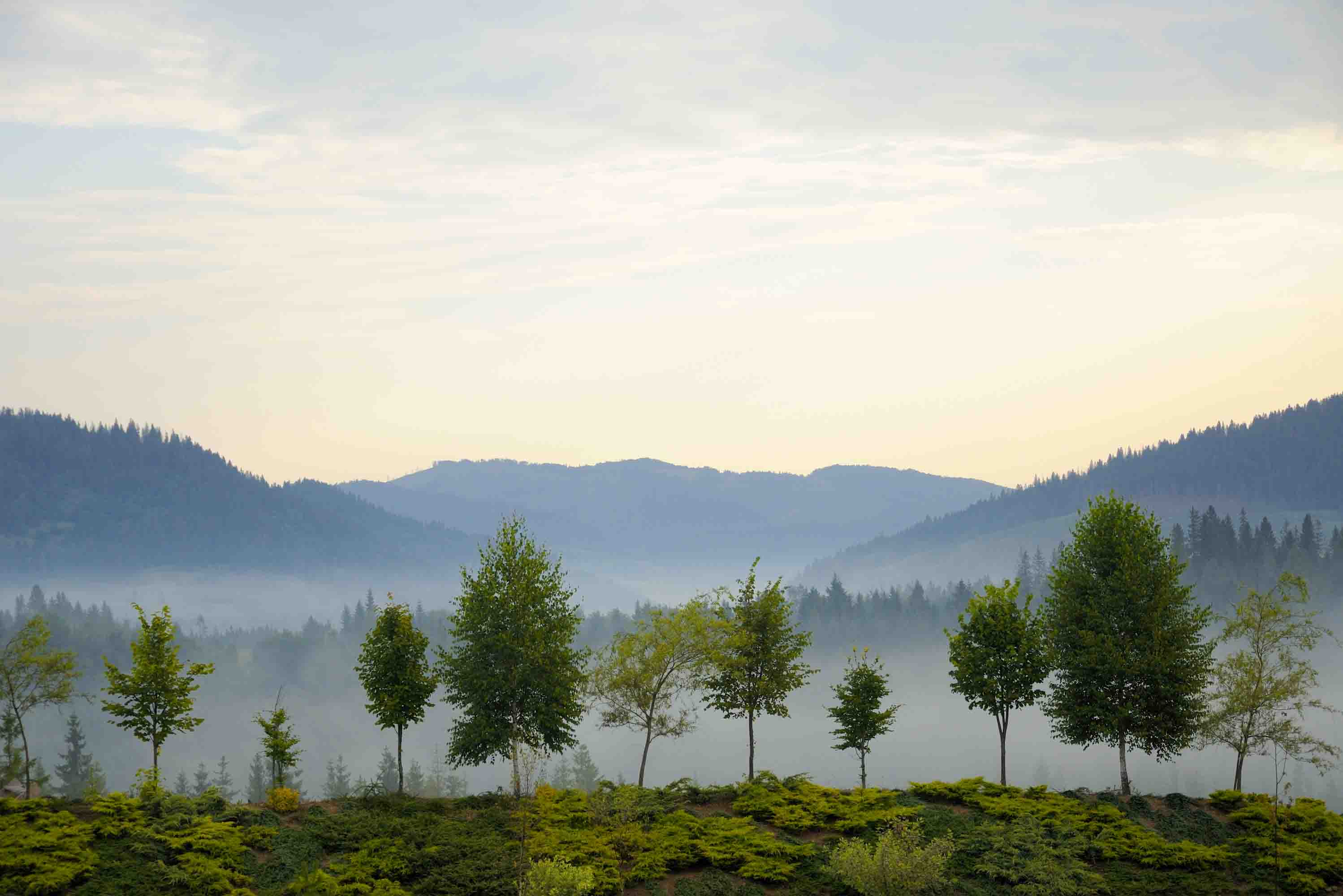 3D Green Forest Mountains White Fog Nature Scenery Wallpaper Wall Mural Wall Decor Wall Art Wall Sticker Remoable Wallpaper LQH
