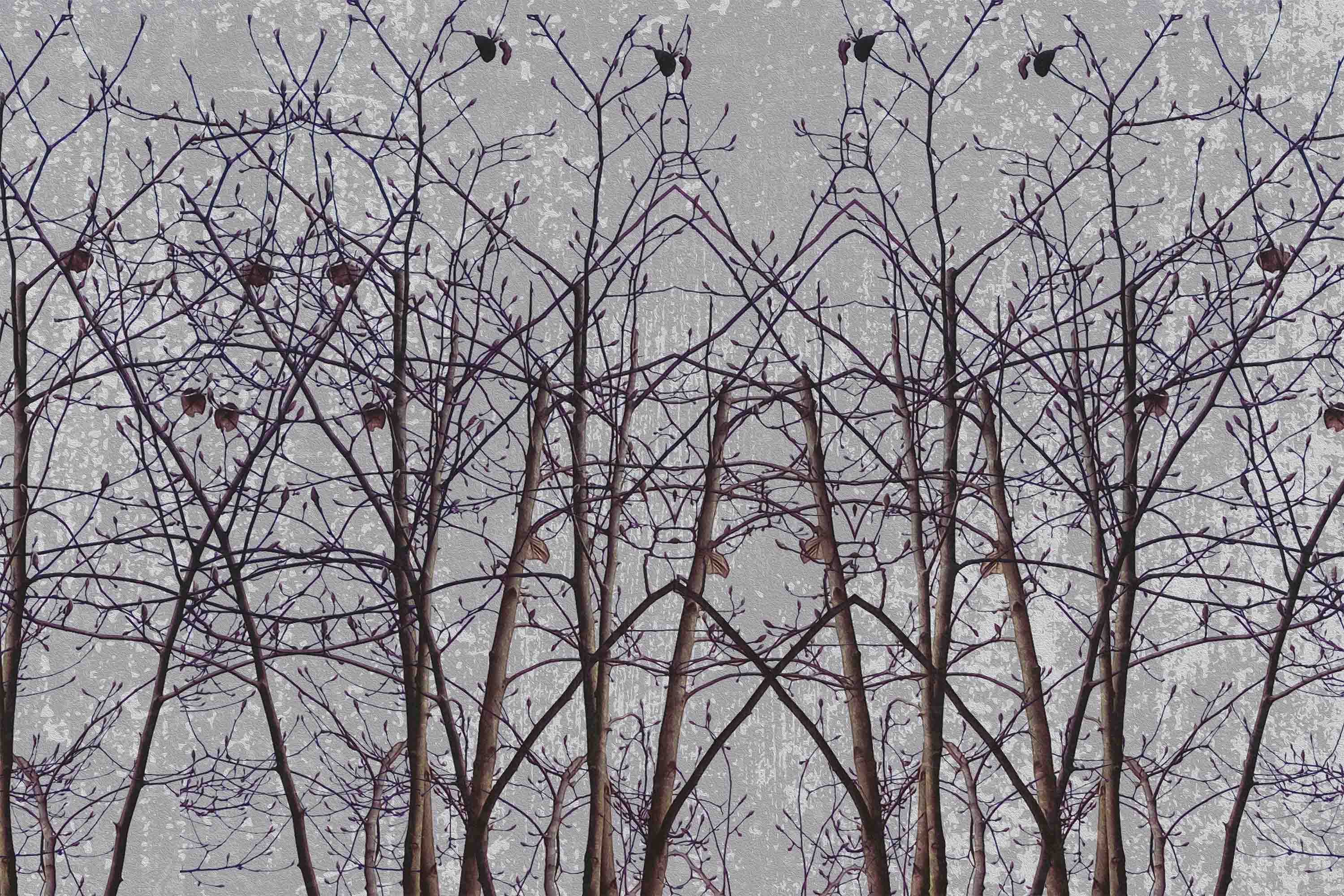 3D Forest Tree Bird Bird's-Nest Wall Mural Wallpaper YXL 2646