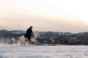 3D Snow Horse Riding Tree Sunlight Wall Mural Wallpaper YXL 108