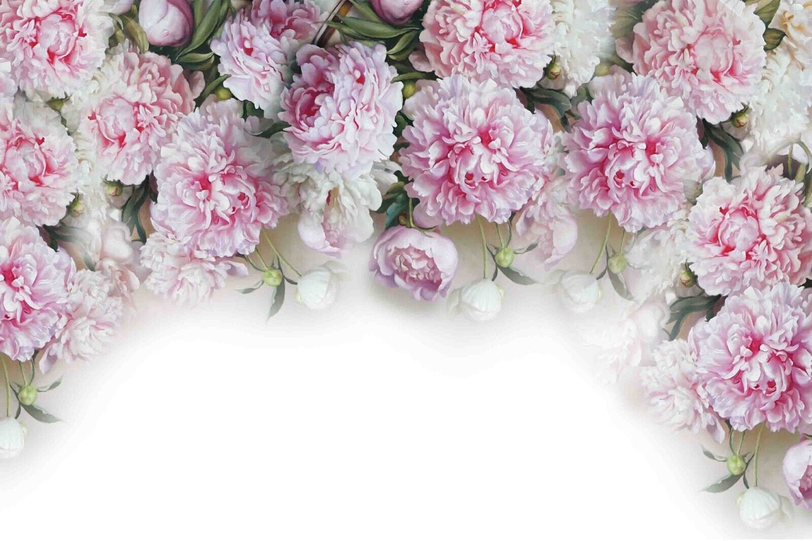 3D Floral Peony Rose Leaf Wall Mural Wallpaper YXL 868
