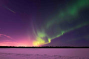 3D Pink Aurora Sky Forest Snow Scenery Wallpaper Wall Mural Wall Decor Wall Art Wall Sticker Remoable Wallpaper 18