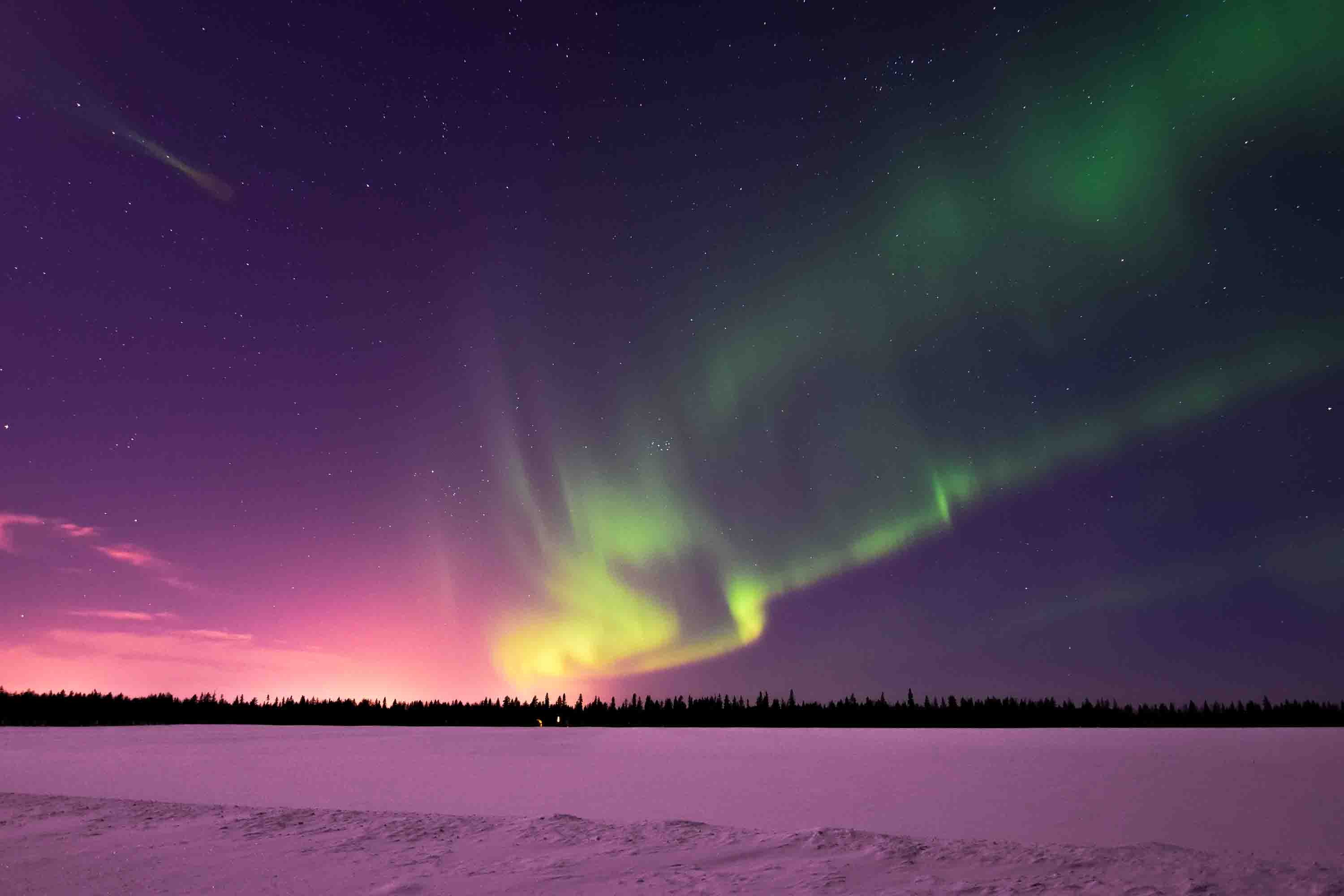 3D Pink Aurora Sky Forest Snow Scenery Wallpaper Wall Mural Wall Decor Wall Art Wall Sticker Remoable Wallpaper 18