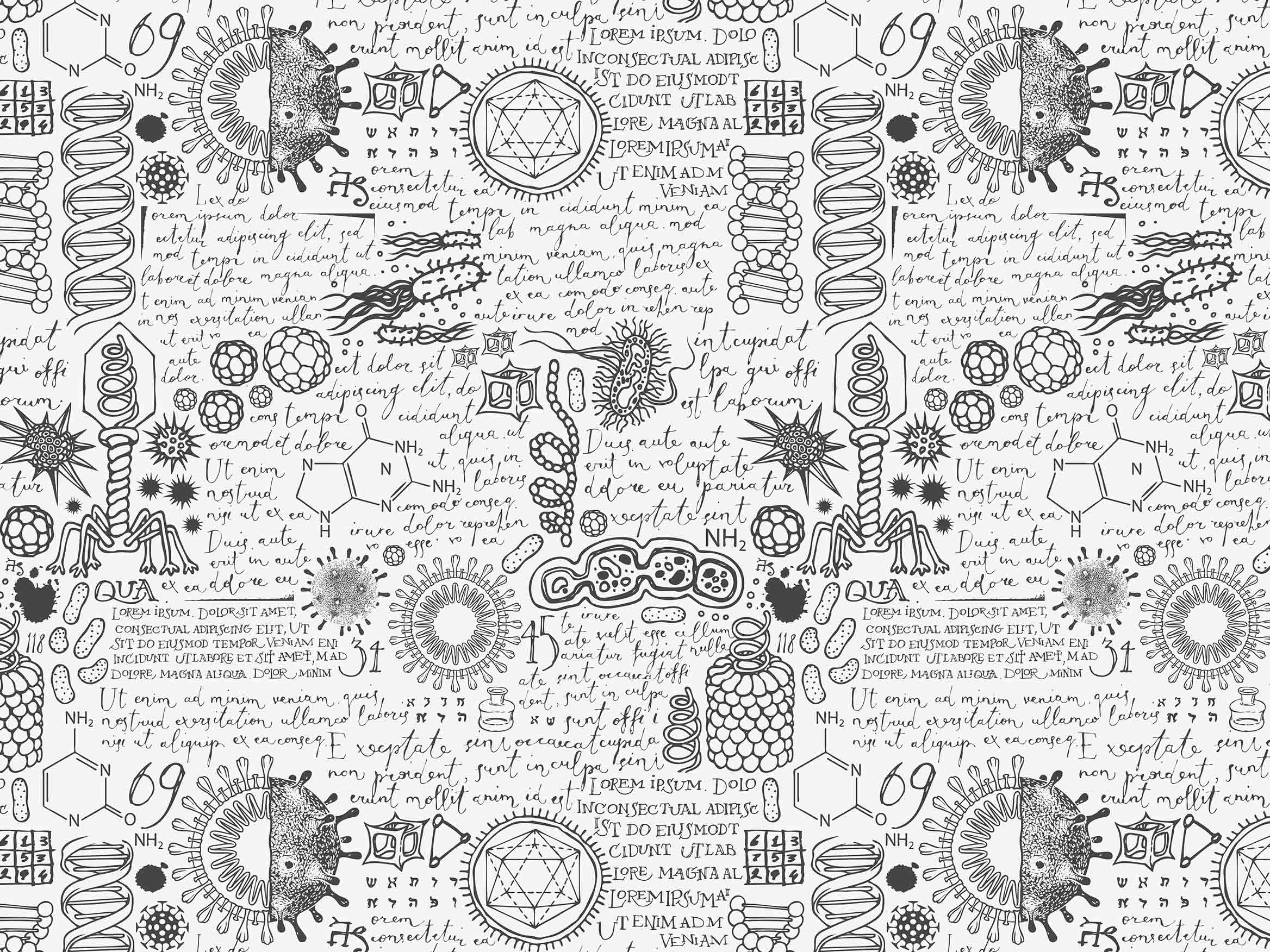 3D School STEM Science Lab Classroom Teaching Aid Biology Wall Mural Wallpaper 10