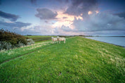 3D Sky Clouds Grassland Nature Scenery Wallpaper Wall Mural Wall Decor Wall Art Wall Sticker Remoable Wallpaper LQH