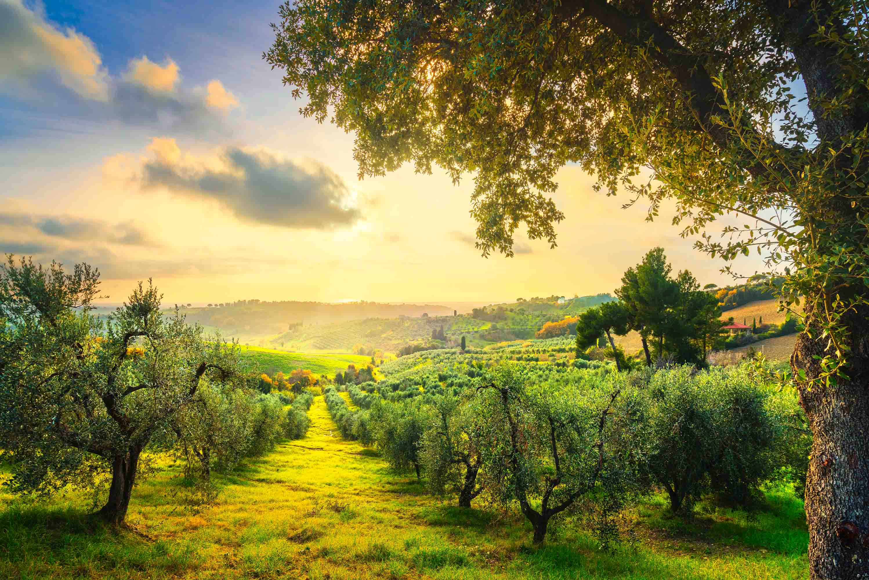 3D Hotel Inn Motel Hostel Resort Manor Scenery Wall Mural Wallpaper 34