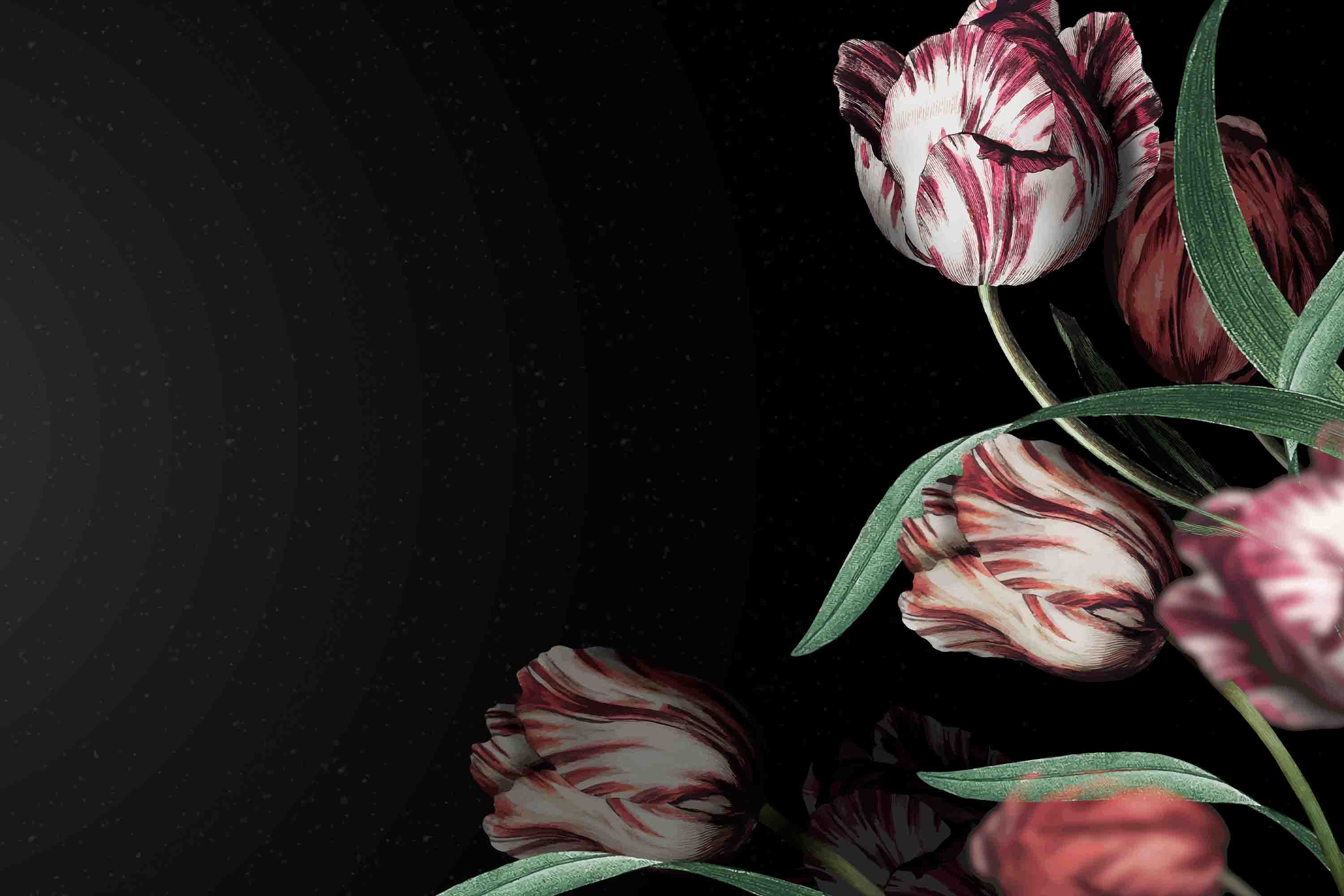 3D Red Tulip Leaves Dark Background Wallpaper Wall Mural Wall Decor Wall Art Wall Sticker Remoable Wallpaper
