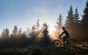 3D Tree Cycling Sunlight Person Wall Mural Wallpaper YXL 152