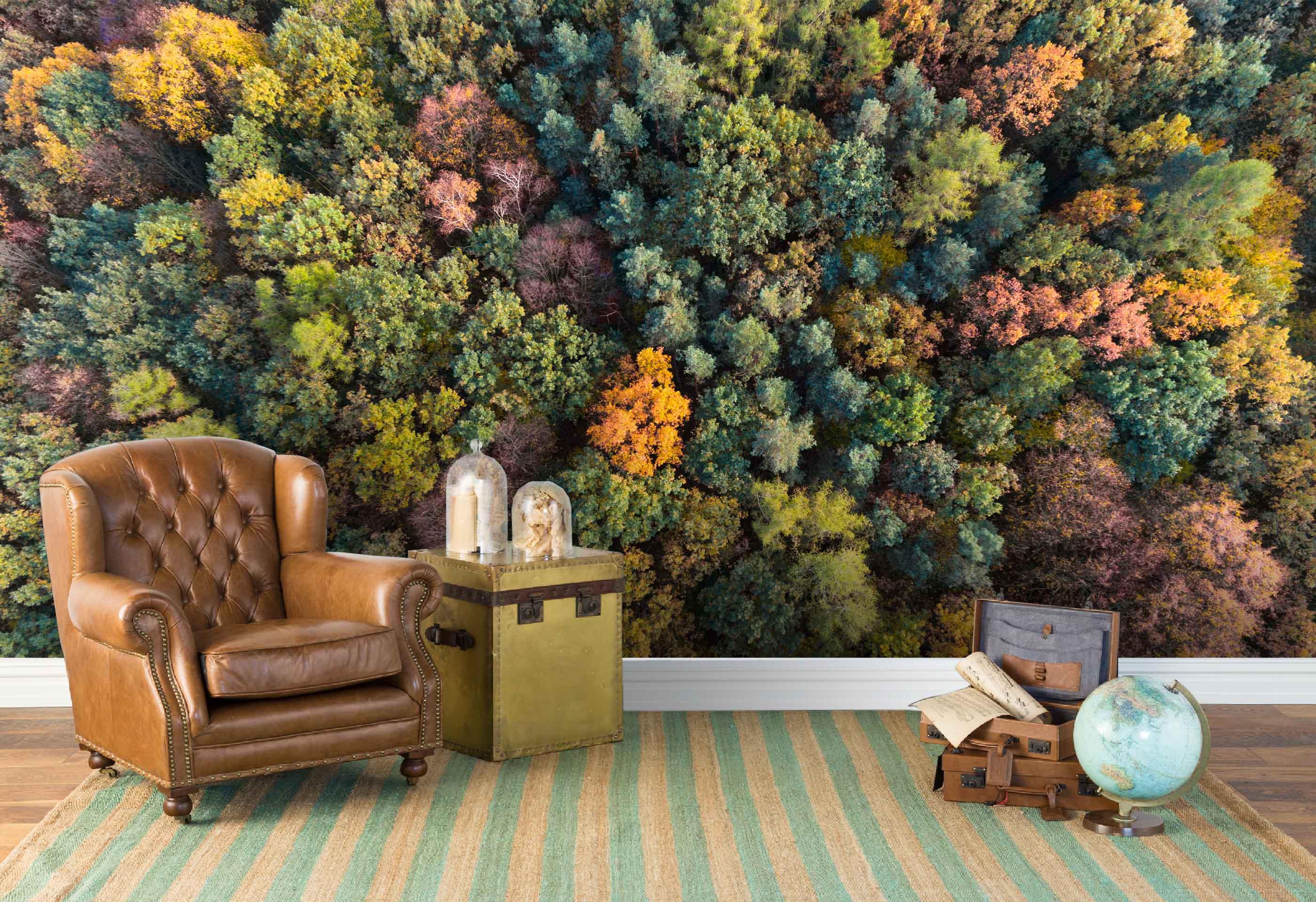 3D autumn forest wall mural wallpaper 162- Jess Art Decoration