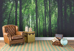 3D green bamboo forest wall mural wallpaper 111- Jess Art Decoration