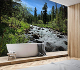 3D Forest Stone River 56 Wall Murals