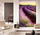 3D lavender grassland 081 wall murals- Jess Art Decoration