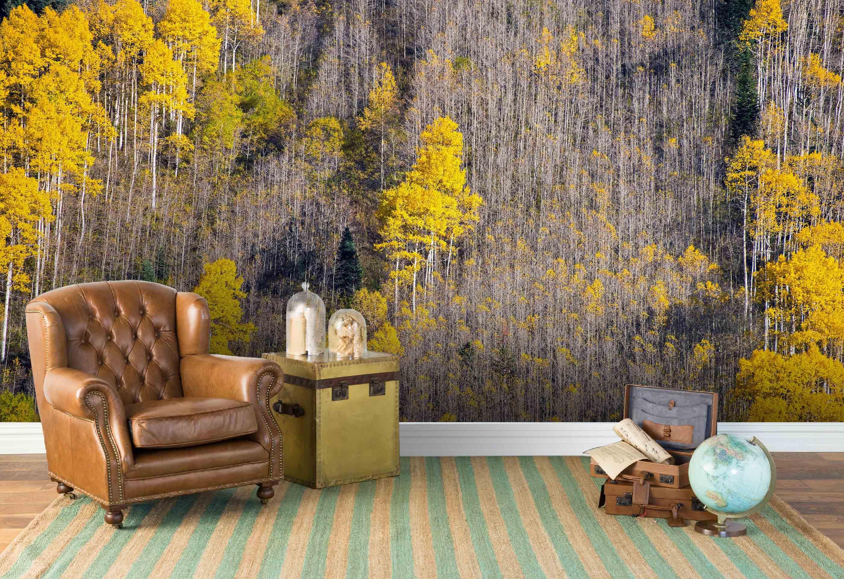 3D autumn forest mountain wall mural wallpaper 83- Jess Art Decoration