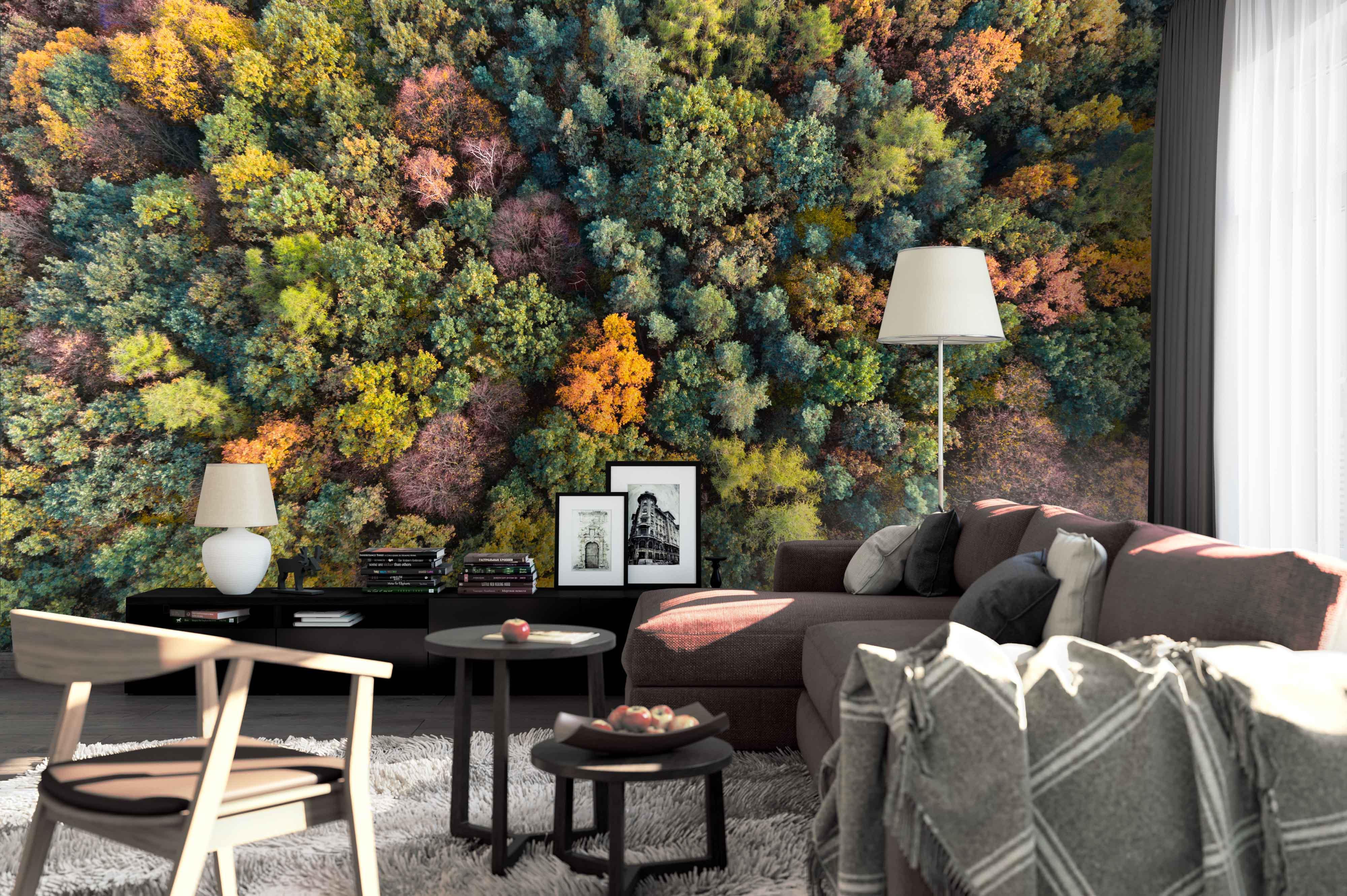 3D autumn forest wall mural wallpaper 162- Jess Art Decoration