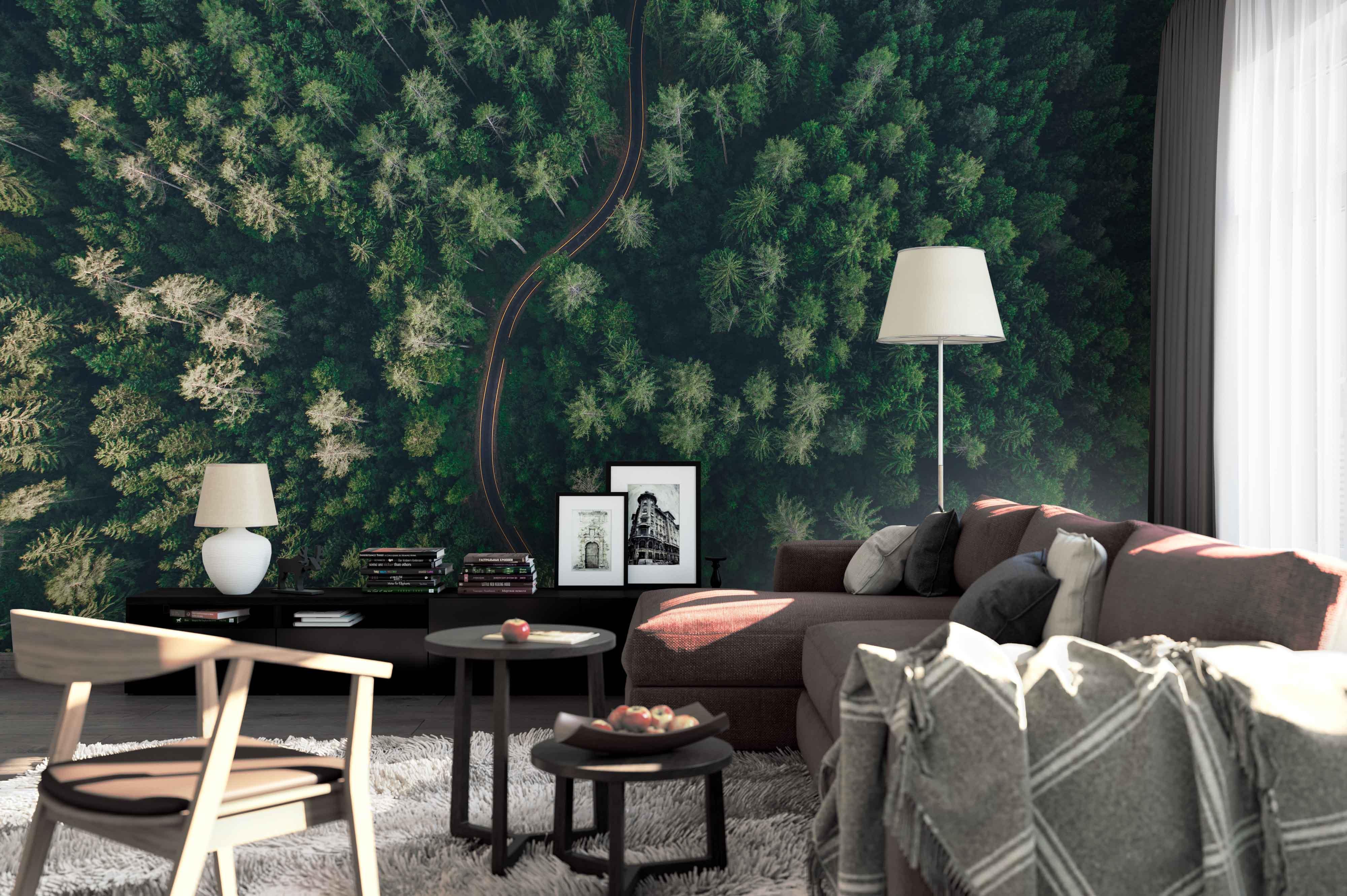 3D aerial photography forest wall mural wallpaper 149- Jess Art Decoration