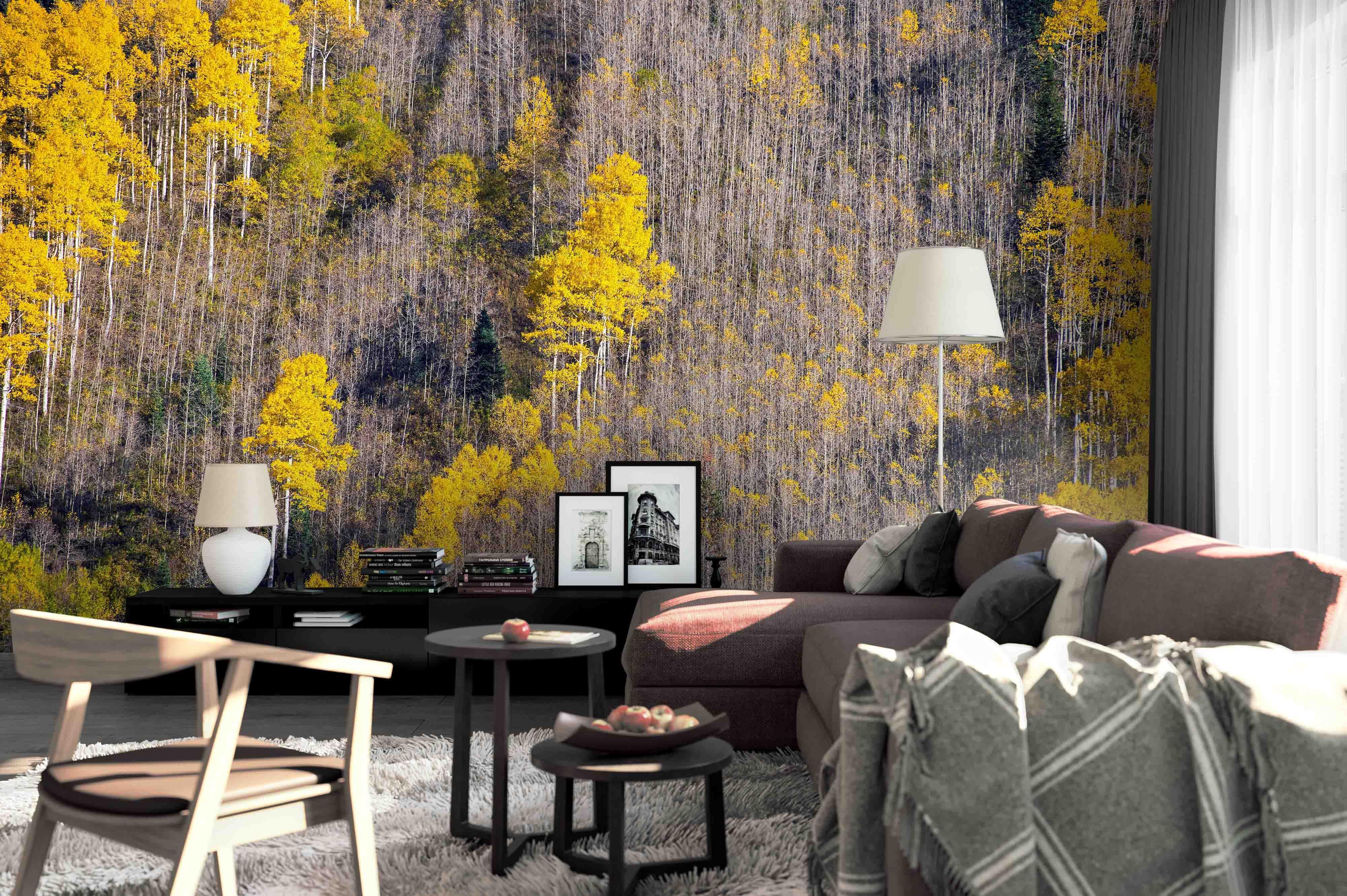 3D autumn forest mountain wall mural wallpaper 83- Jess Art Decoration