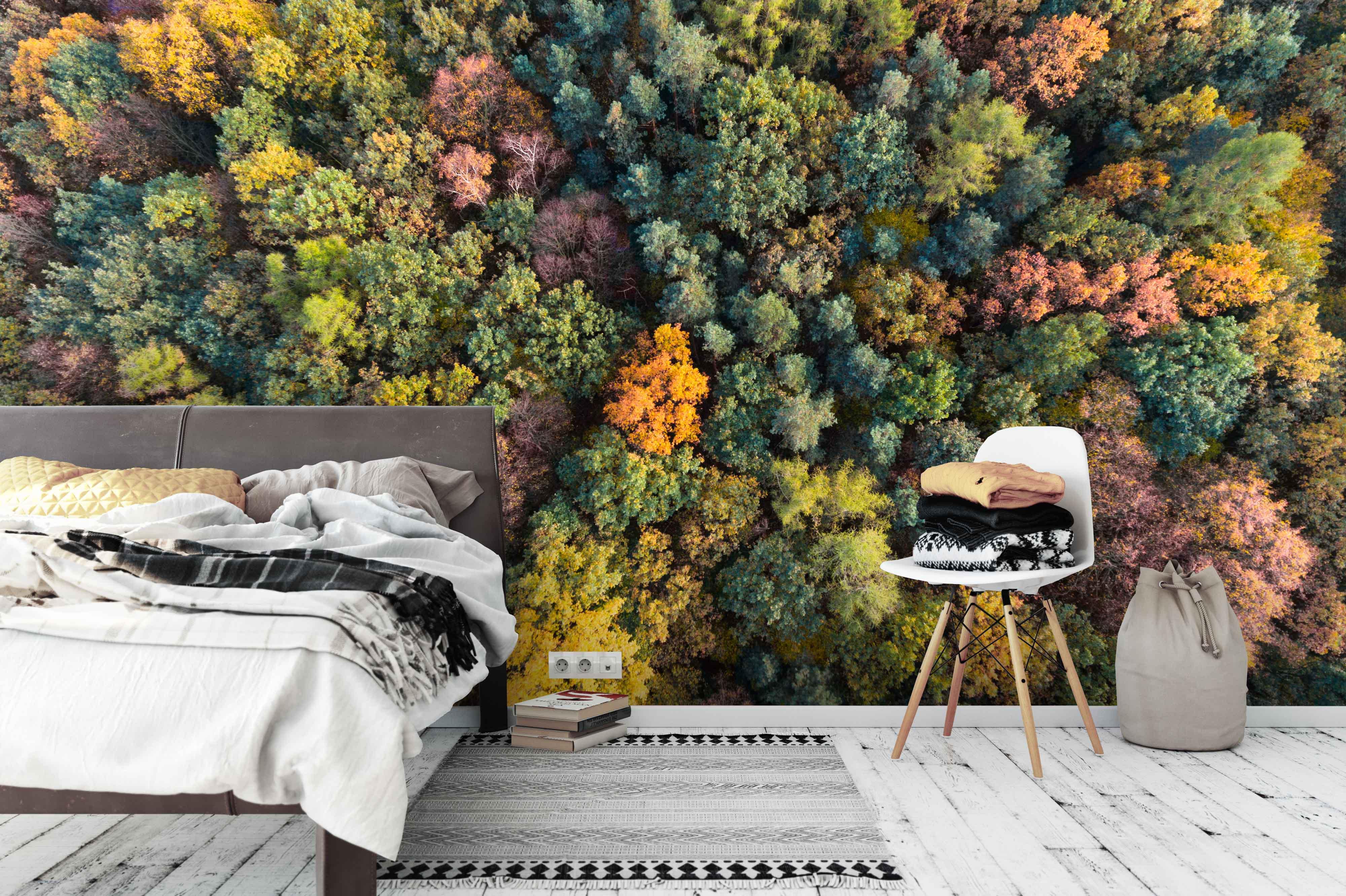 3D autumn forest wall mural wallpaper 162- Jess Art Decoration