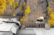 3D autumn forest mountain wall mural wallpaper 83- Jess Art Decoration