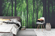 3D green bamboo forest wall mural wallpaper 111- Jess Art Decoration