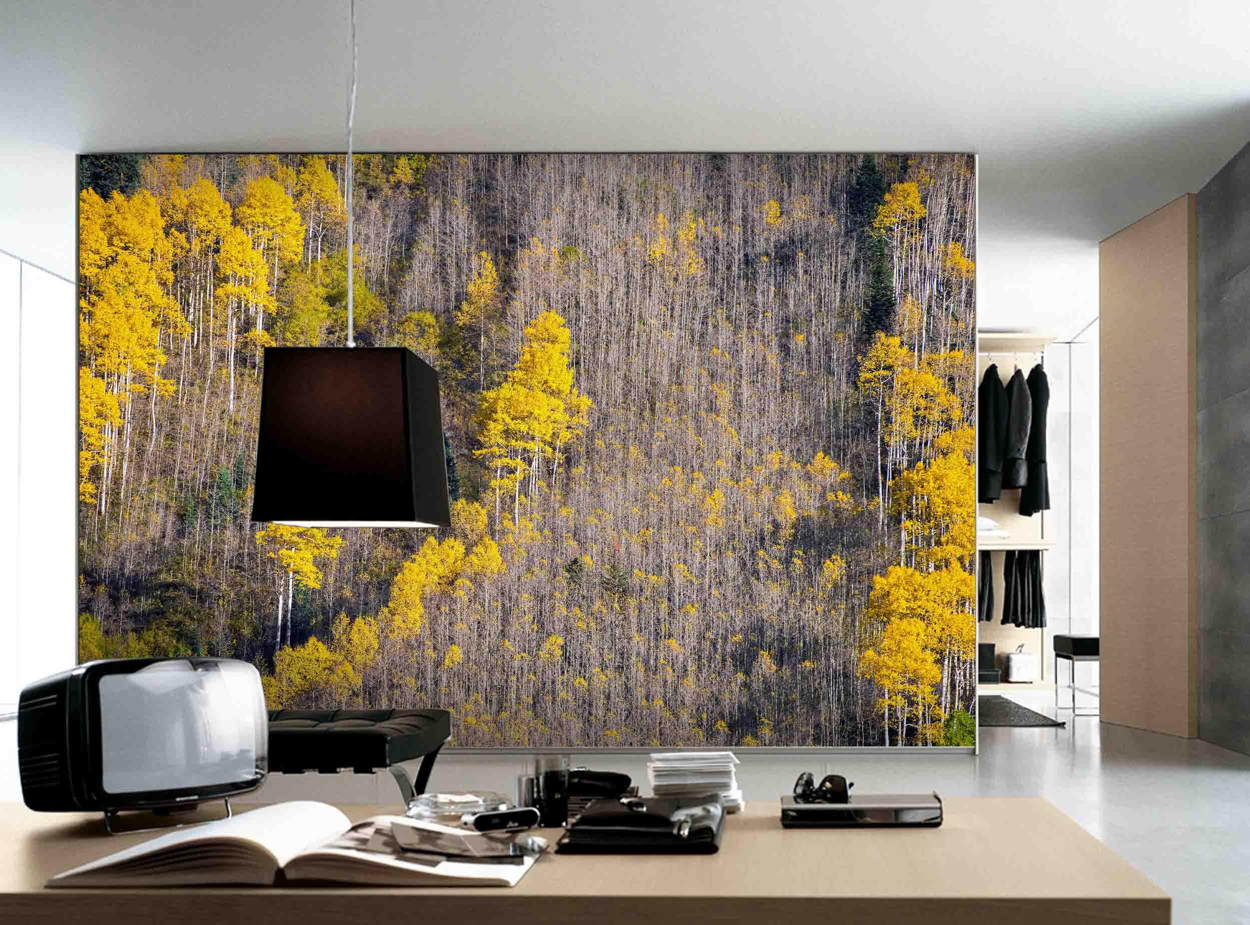 3D autumn forest mountain wall mural wallpaper 83- Jess Art Decoration