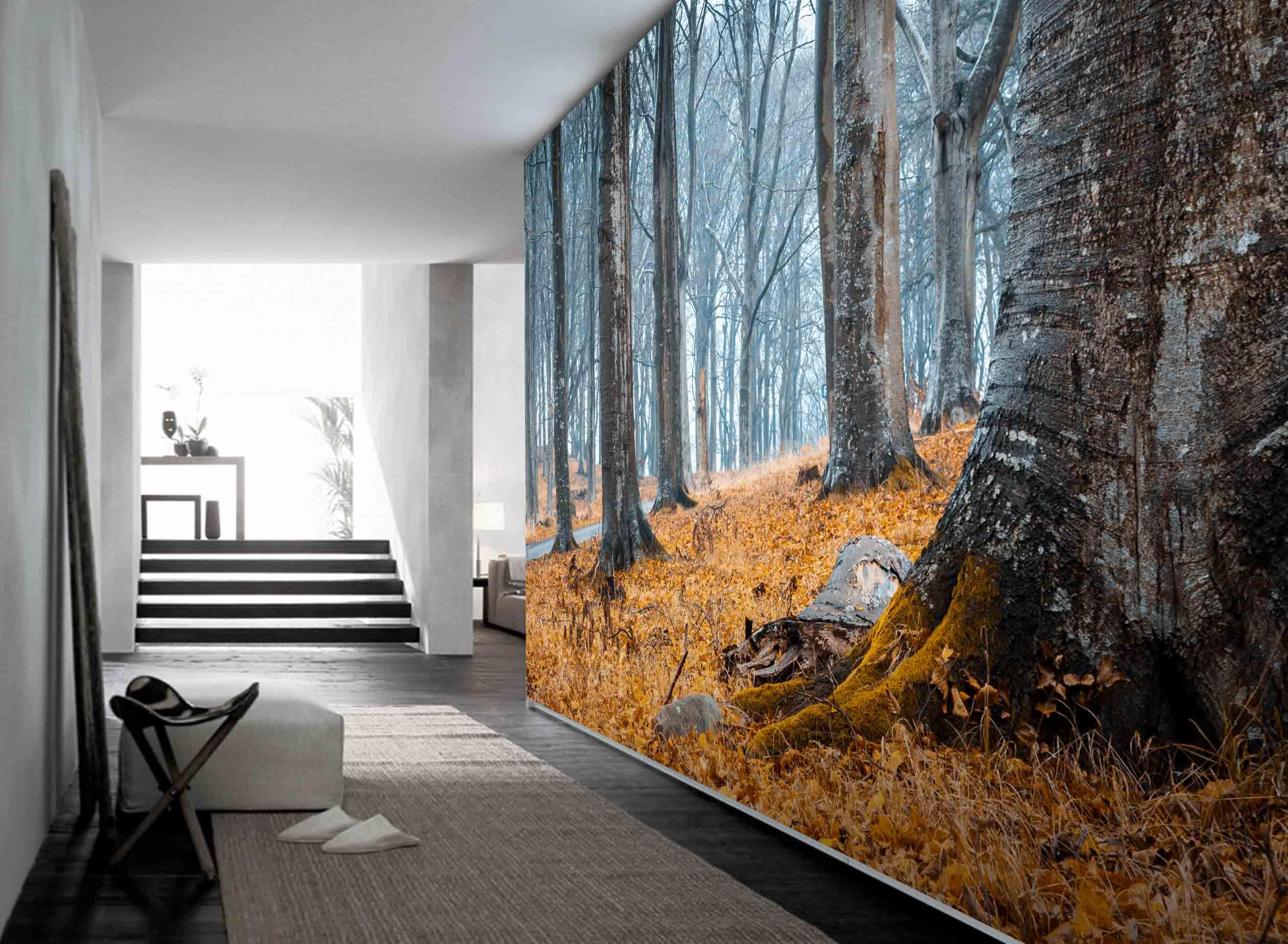 3D autumn forest wall mural wallpaper 80- Jess Art Decoration