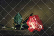 3D Red Floral Green Leaves Oil Painting Wall Mural Wallpaper 43- Jess Art Decoration