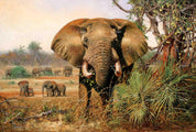 3D African Steppe Elephant Wall Mural Wallpaper 05- Jess Art Decoration