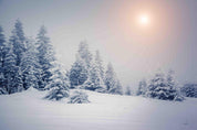 3D Snow Mountain Plant Pine Tree White Landscape Wall Mural Wallpaper LLL 1860- Jess Art Decoration