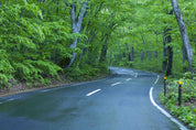 3D Plant Tree Green Asphalt Road Landscape Wall Mural Wallpaper LLL 1913- Jess Art Decoration