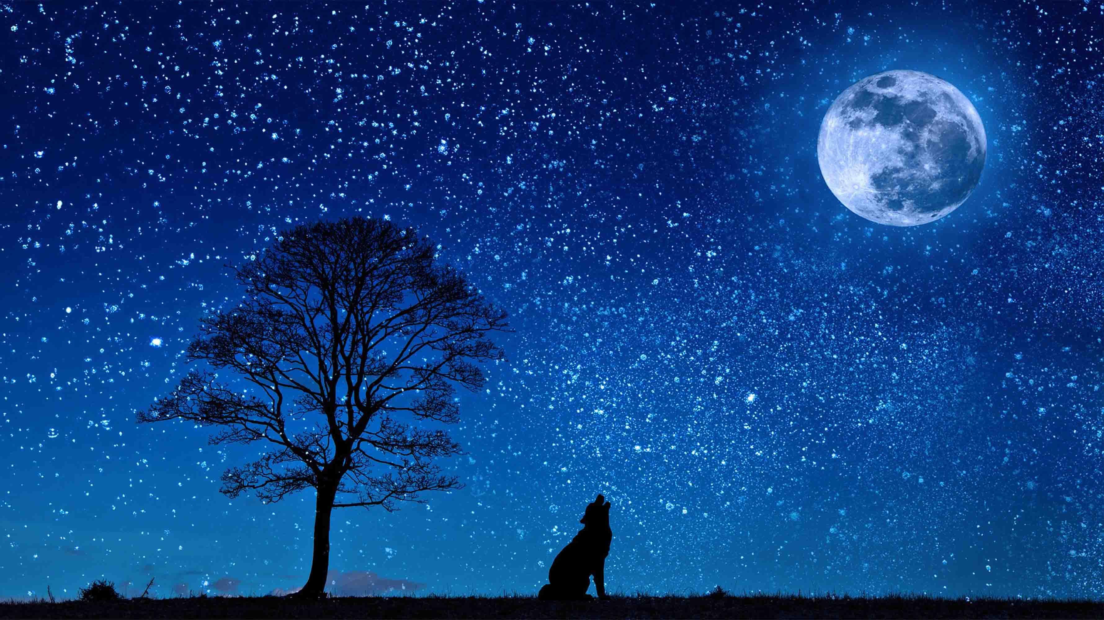 3D Animal Wolf Starry Sky Moon Blue Landscape Wall Mural Wallpaper LLL 1768- Jess Art Decoration