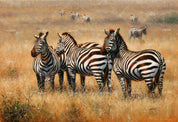 3D African Steppe Zebra Wall Mural Wallpaper 07- Jess Art Decoration