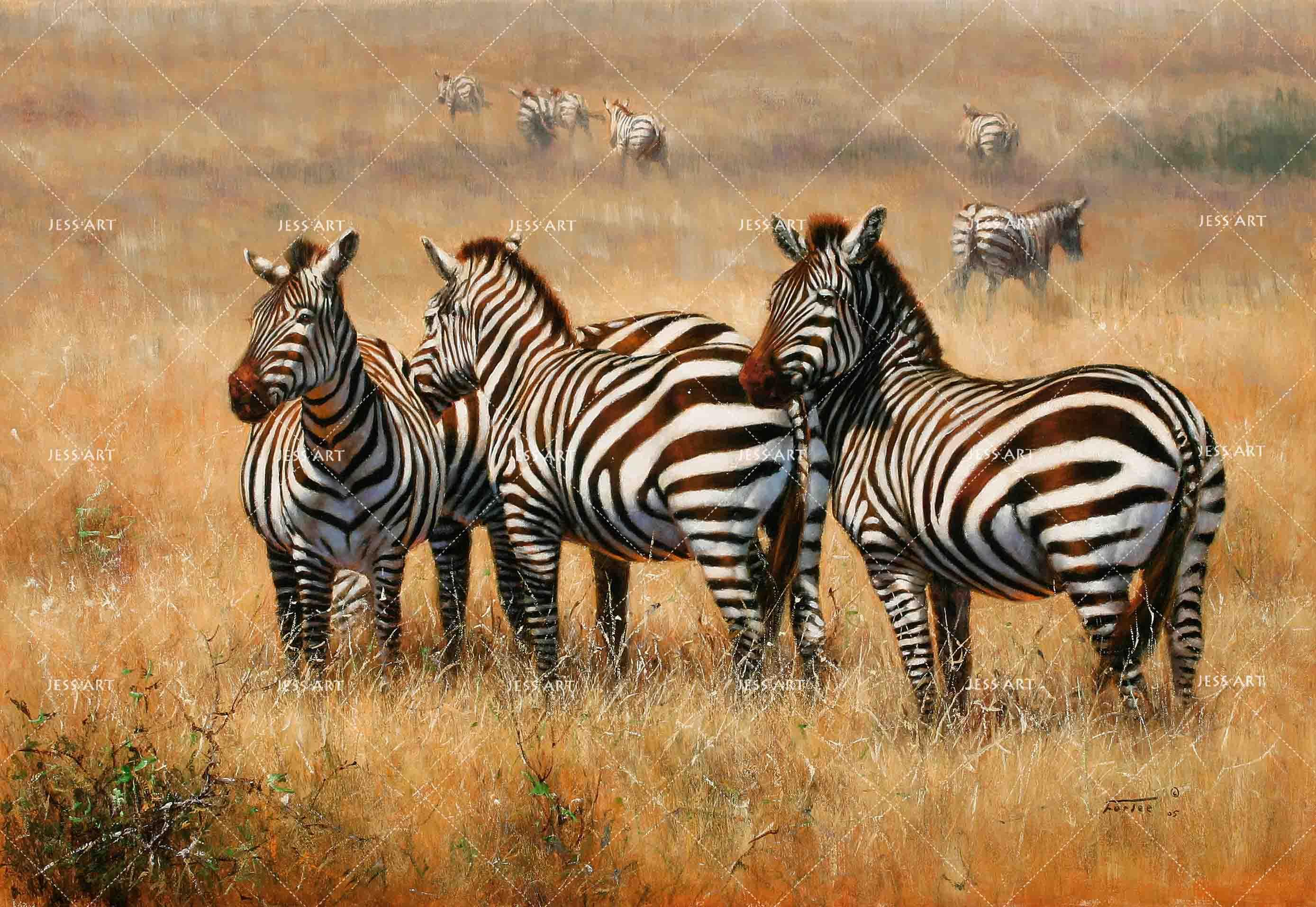 3D African Steppe Zebra Wall Mural Wallpaper 07- Jess Art Decoration