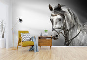 3D black white horse wall mural  Wallpaper 18- Jess Art Decoration