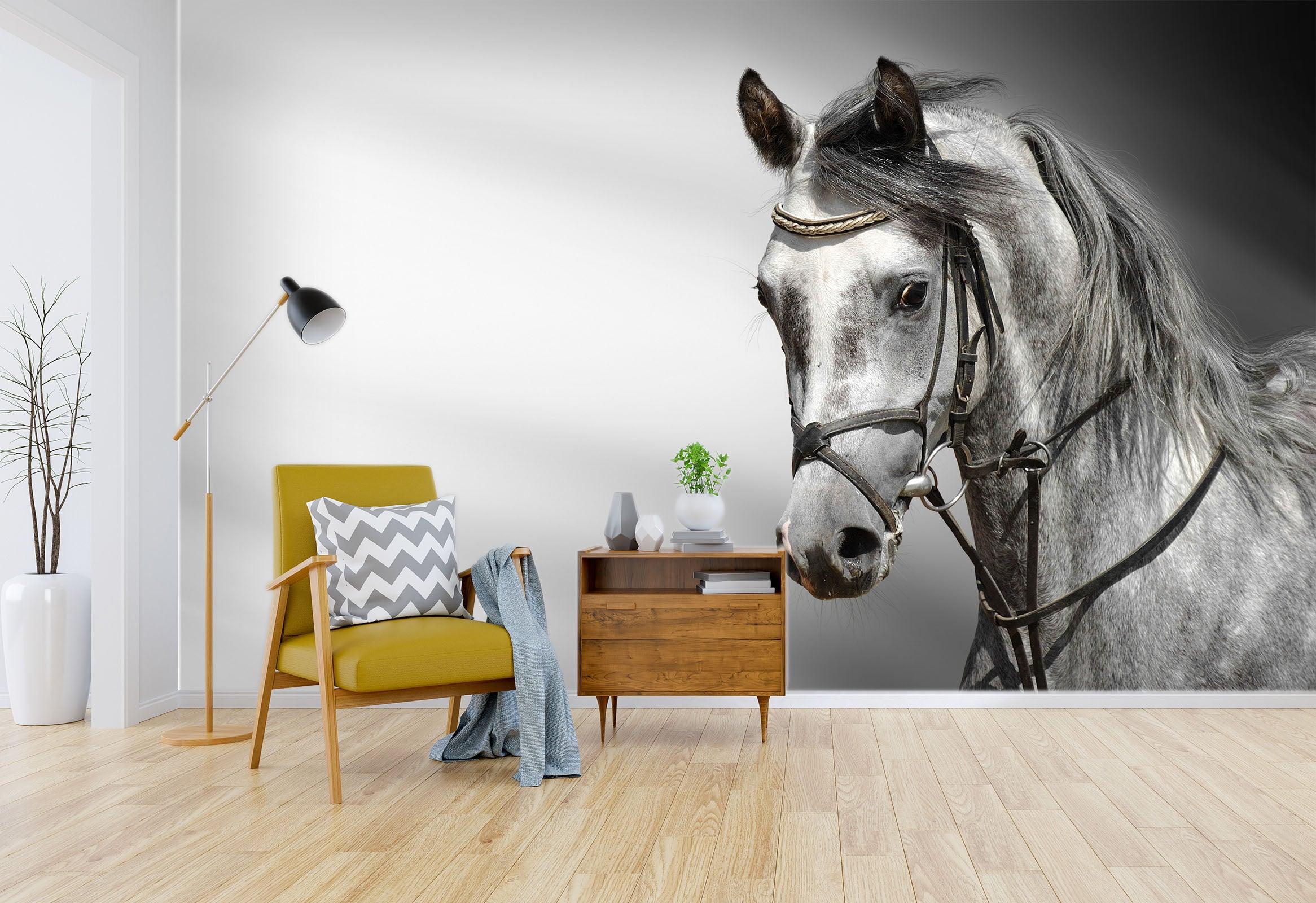3D black white horse wall mural  Wallpaper 18- Jess Art Decoration